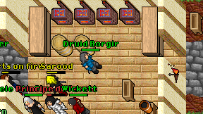 Druid Borgir on screen