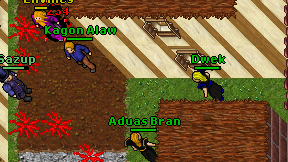 Aduas Bran on screen