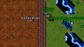 Salas Rimi on screen