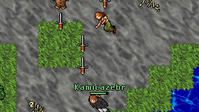 Kamicazebr on screen