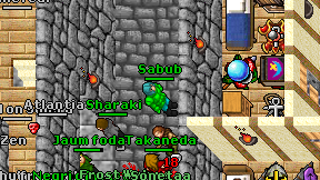 Sabub on screen