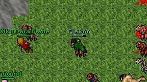 Flexoo on screen