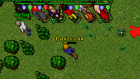 Paszczak on screen
