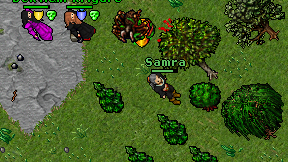 Samra on screen