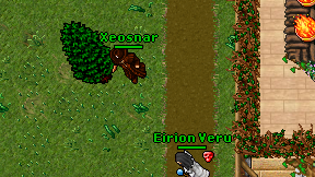 Xeosnar on screen