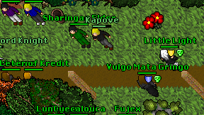 Kapove on screen