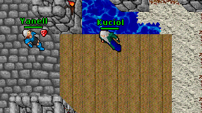 Kuciol on screen