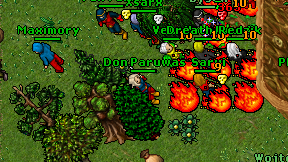 Don Paruwas on screen