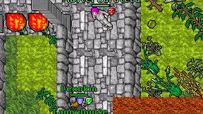 Master karateca on screen