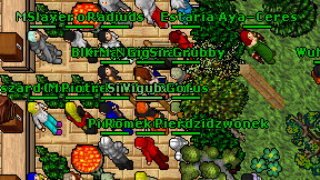 Gofus on screen