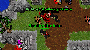 Shadow the loko on screen