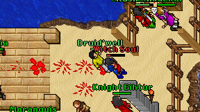 Druid'well on screen