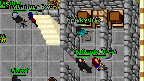 Friskyditz on screen