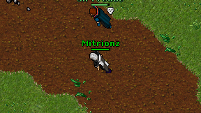 Mitrionz on screen