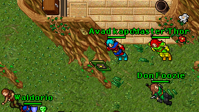 Avad kapone on screen