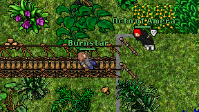 Burnstar on screen