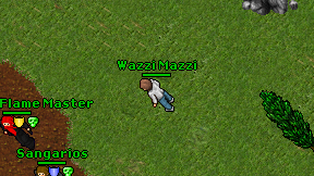 Wazzi Mazzi on screen