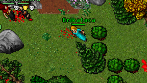 Erikataca on screen