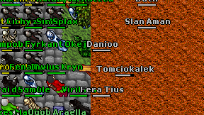 Danioo on screen