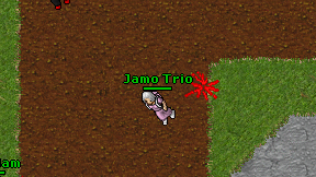Jamo Trio on screen