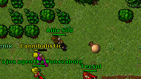 Allix Sild on screen