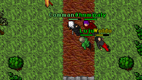 Luju on screen