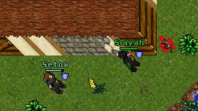 Slayah on screen