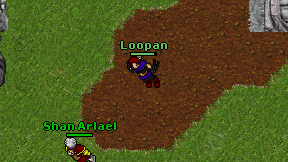 Loopan on screen