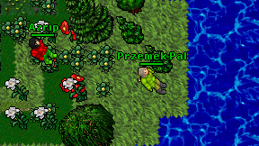Przemek Pal on screen