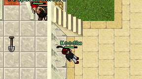 Koodix on screen