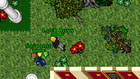 Lock Anys on screen