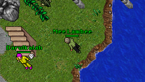 Mee Lambee on screen