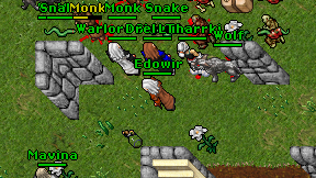 Drel Lilto on screen