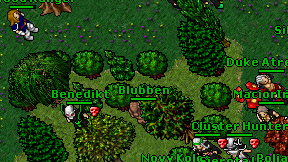Blubben on screen