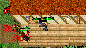 Aeris druid on screen