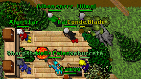 Kakamix on screen
