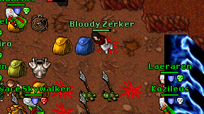 Bloody Zerker on screen