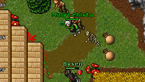 Maly Lehista on screen