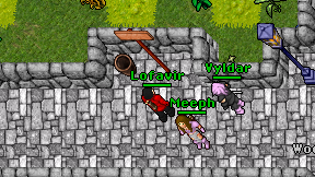 Lofavir on screen