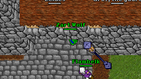 Zart Wolf on screen