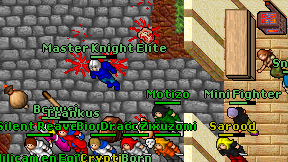 Master Knight Elite on screen