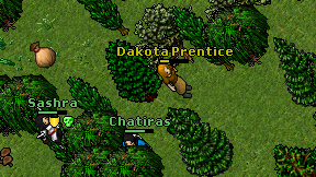 Dakota Prentice on screen