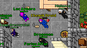 Chemik Druid on screen