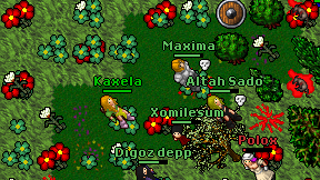 Kaxela on screen