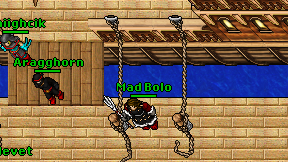 Mad Bolo on screen