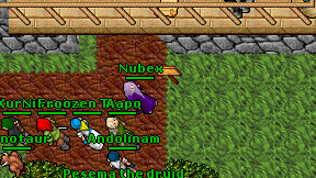Nubex on screen