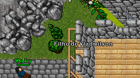 Filho do Vladmilson on screen