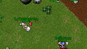 Lykontorna on screen