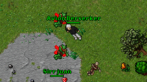 Avion Berserker on screen