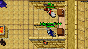 Nightt Elff on screen